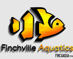 Finchville Aquatics